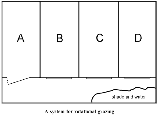 rotational grazing.gif